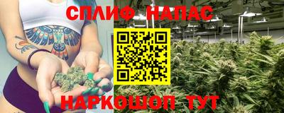 ALPHA PVP Камышлов