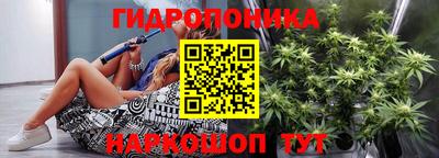 дмт Кимры