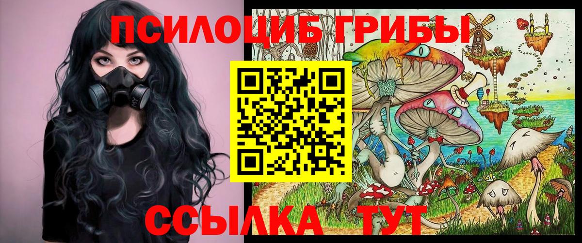 Псилоцибиновые грибы Psilocybe  Вход с VPN  Конаково 