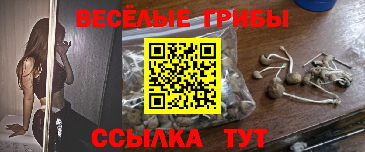 Псилоцибиновые грибы мицелий Конаково
